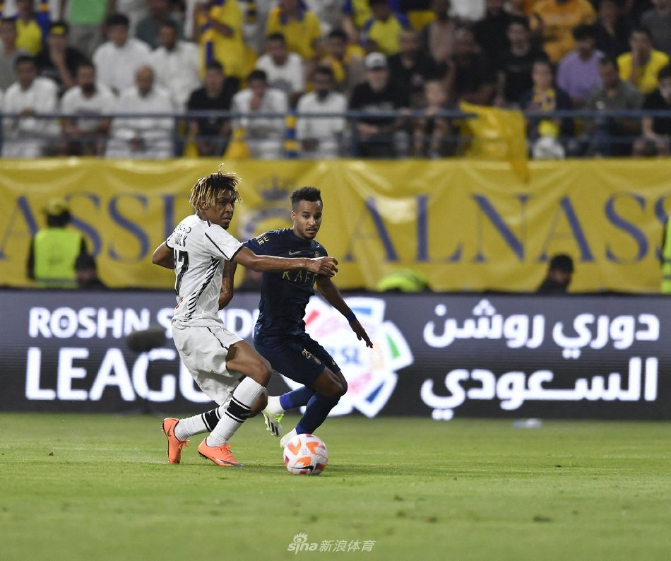 我们期待在 我们期待在